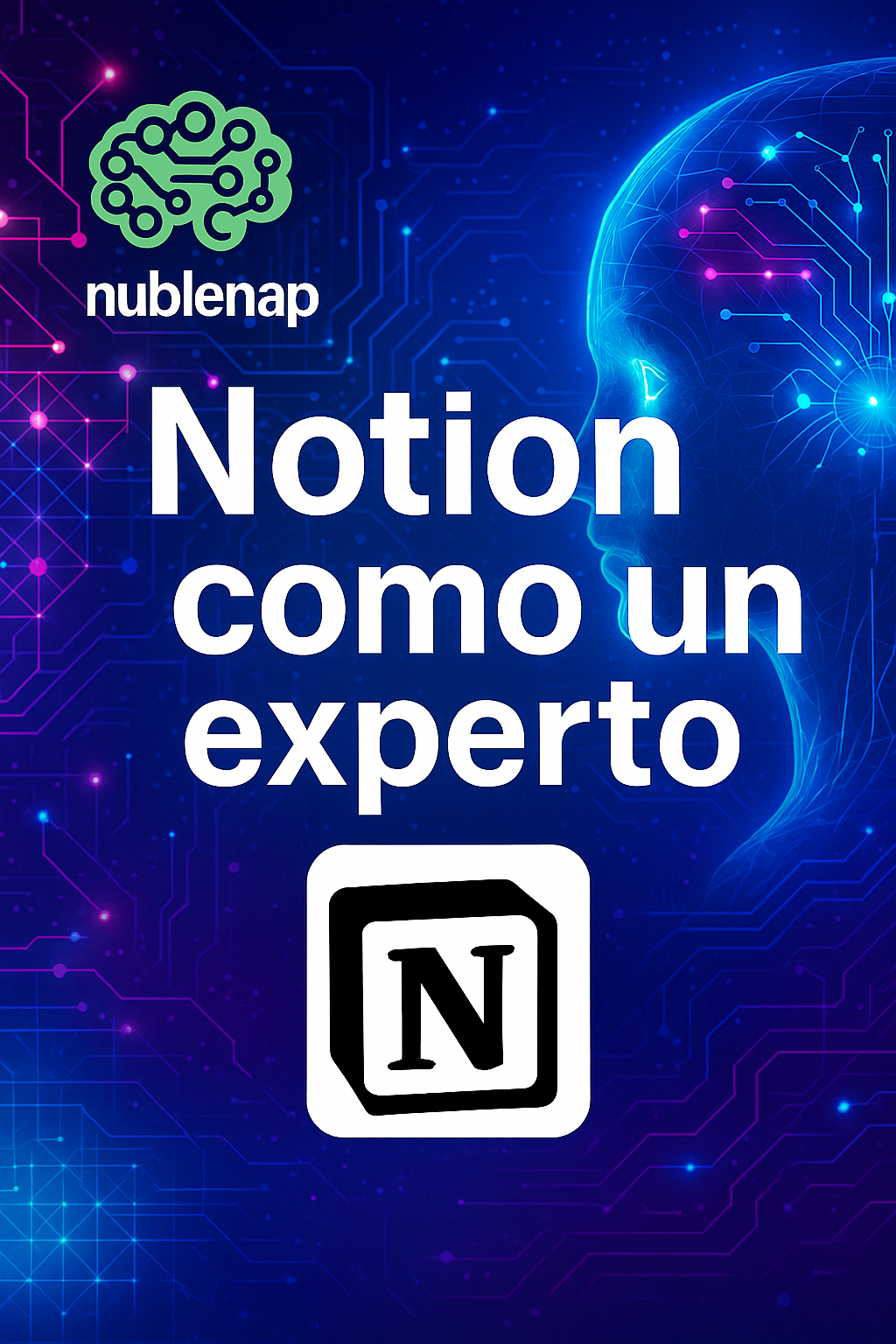 Notion como un experto